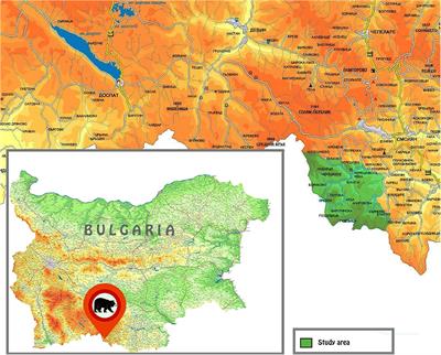 From Conflict to Conviviality? Transforming Human–Bear Relations in Bulgaria